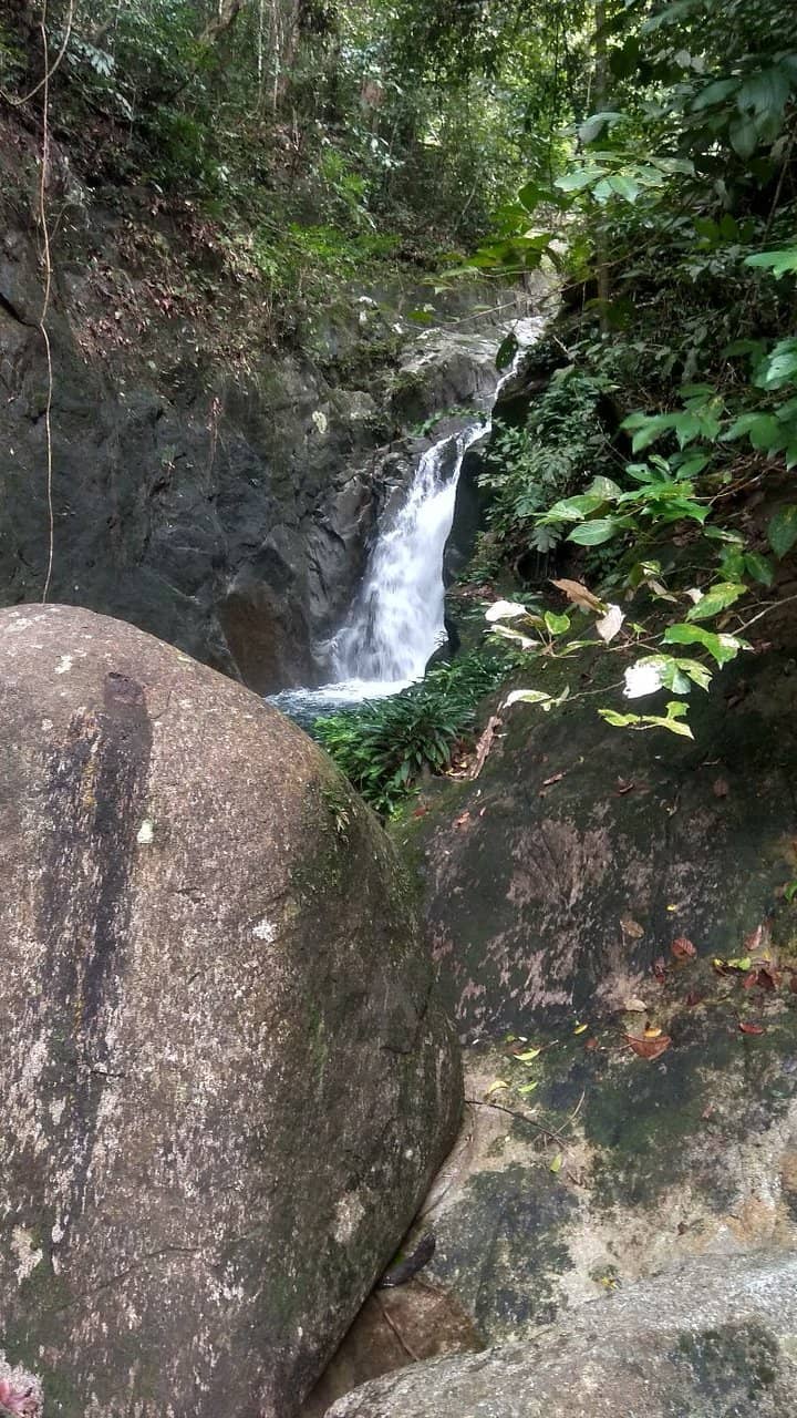 Gunung Gading Summit Trail