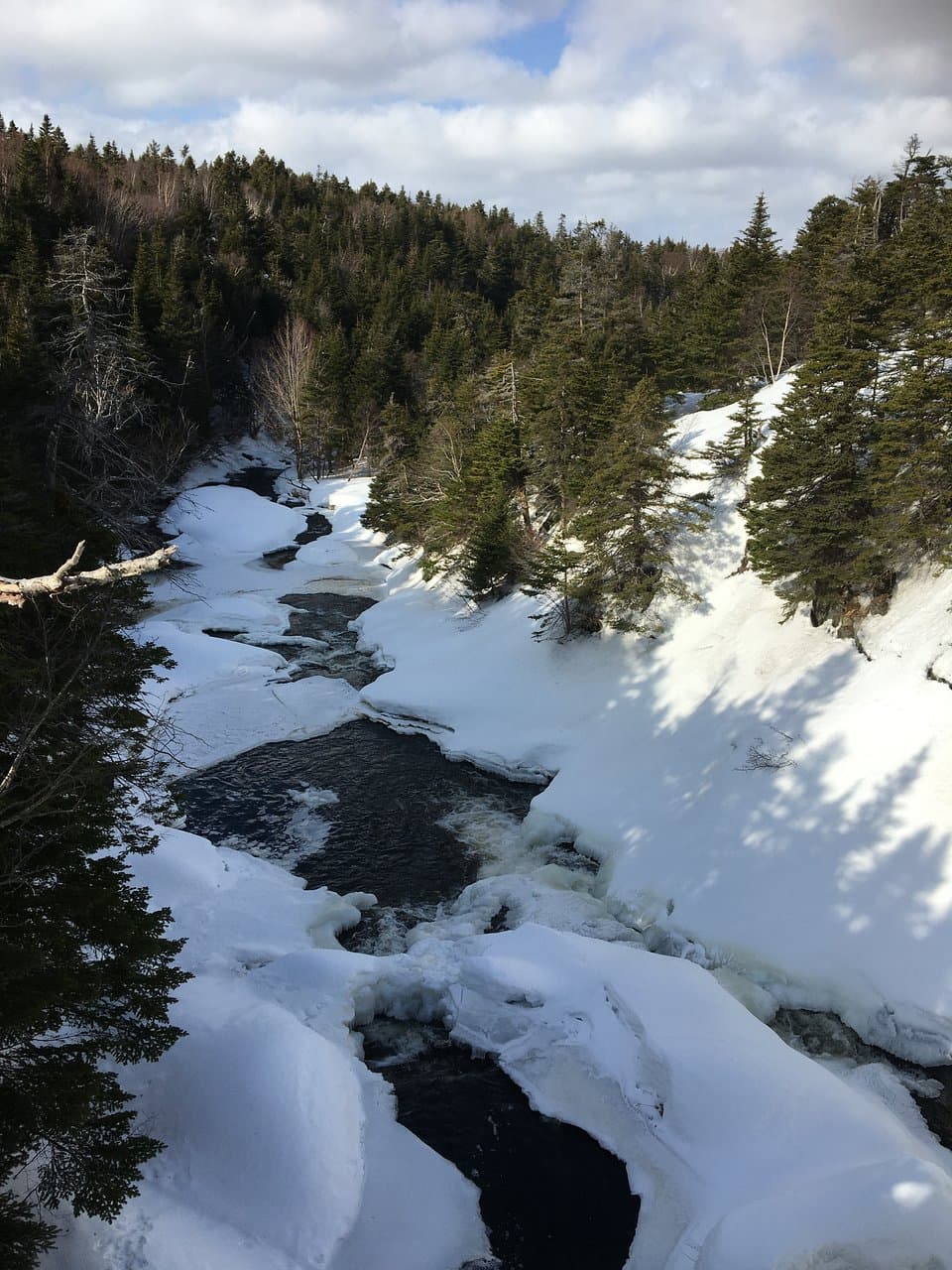 Bowring Park St. John's
