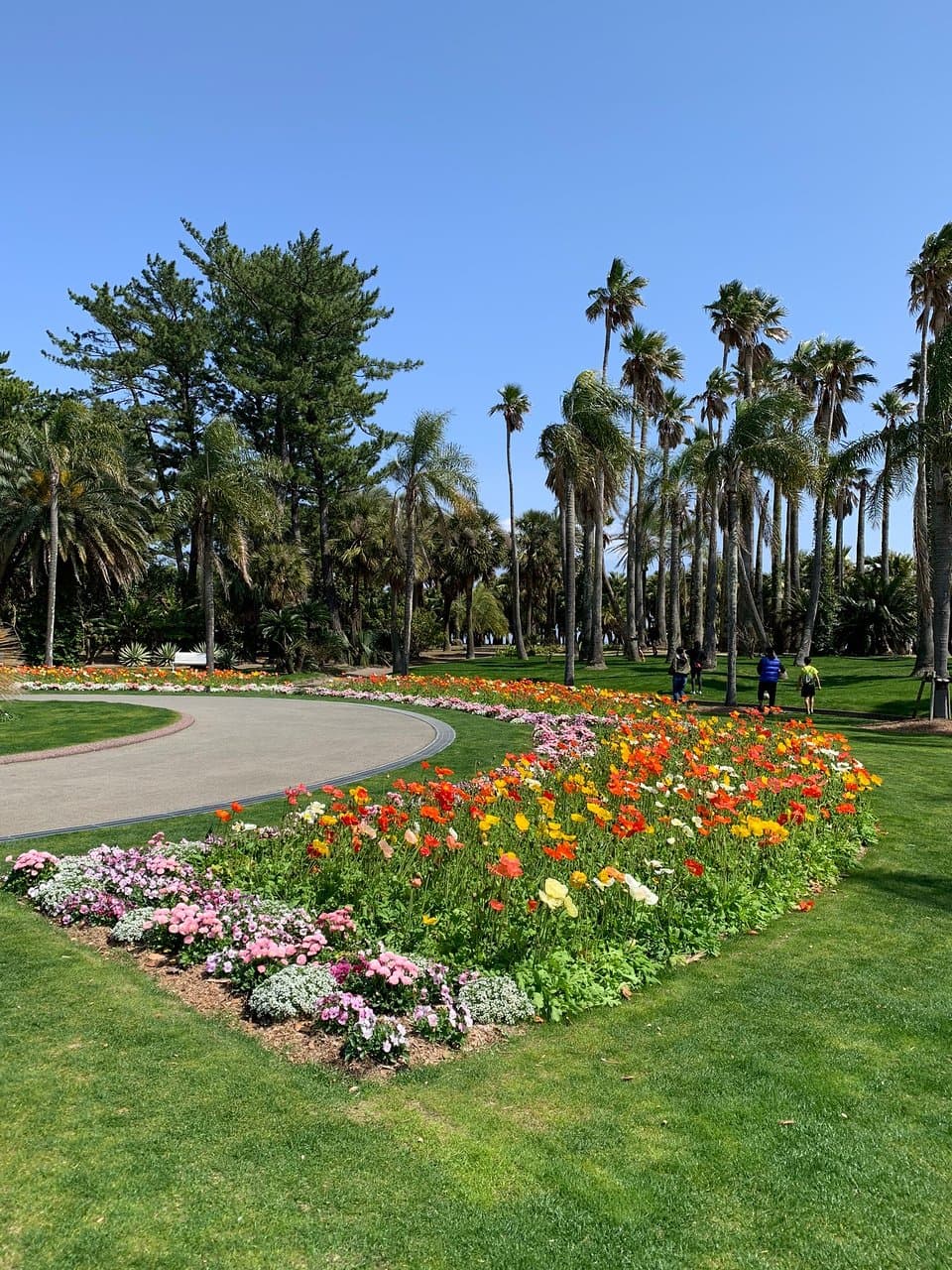 Aoshima Botanic Garden
