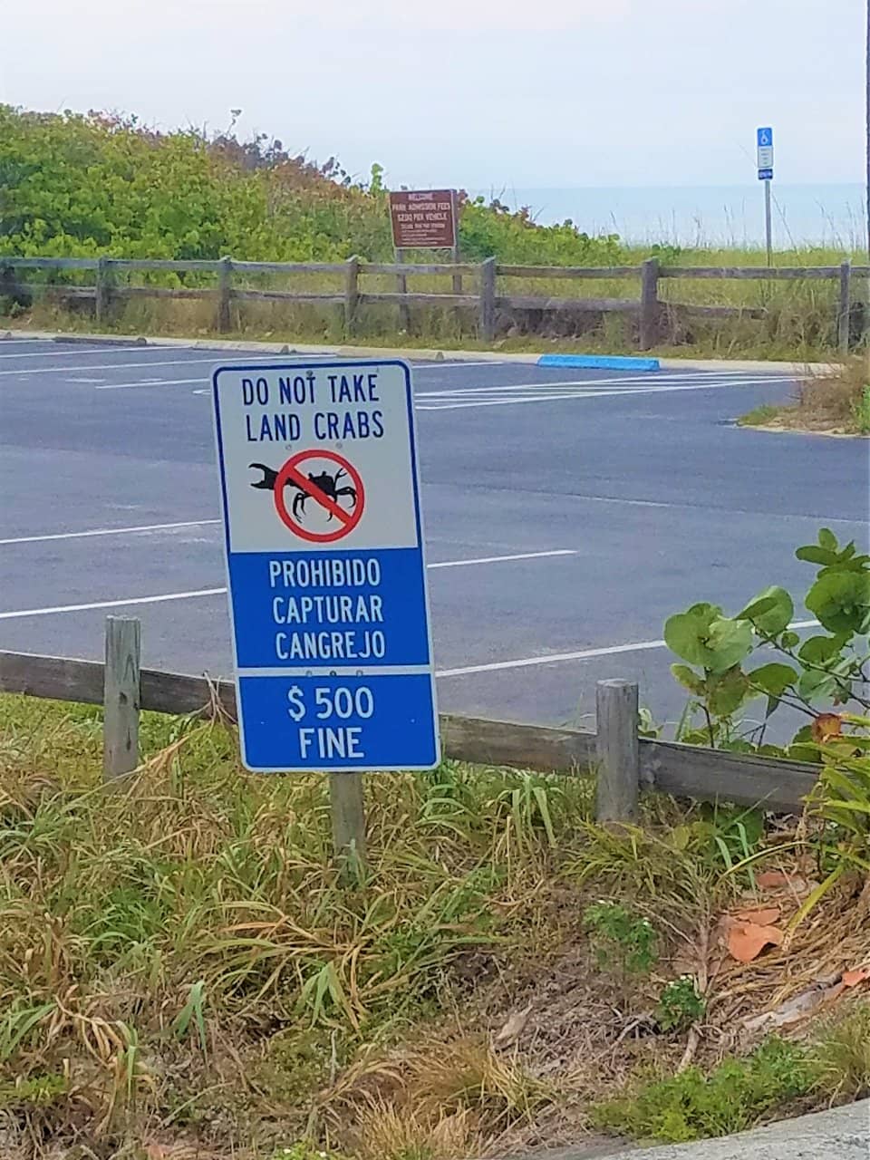 Fishing Opportunities