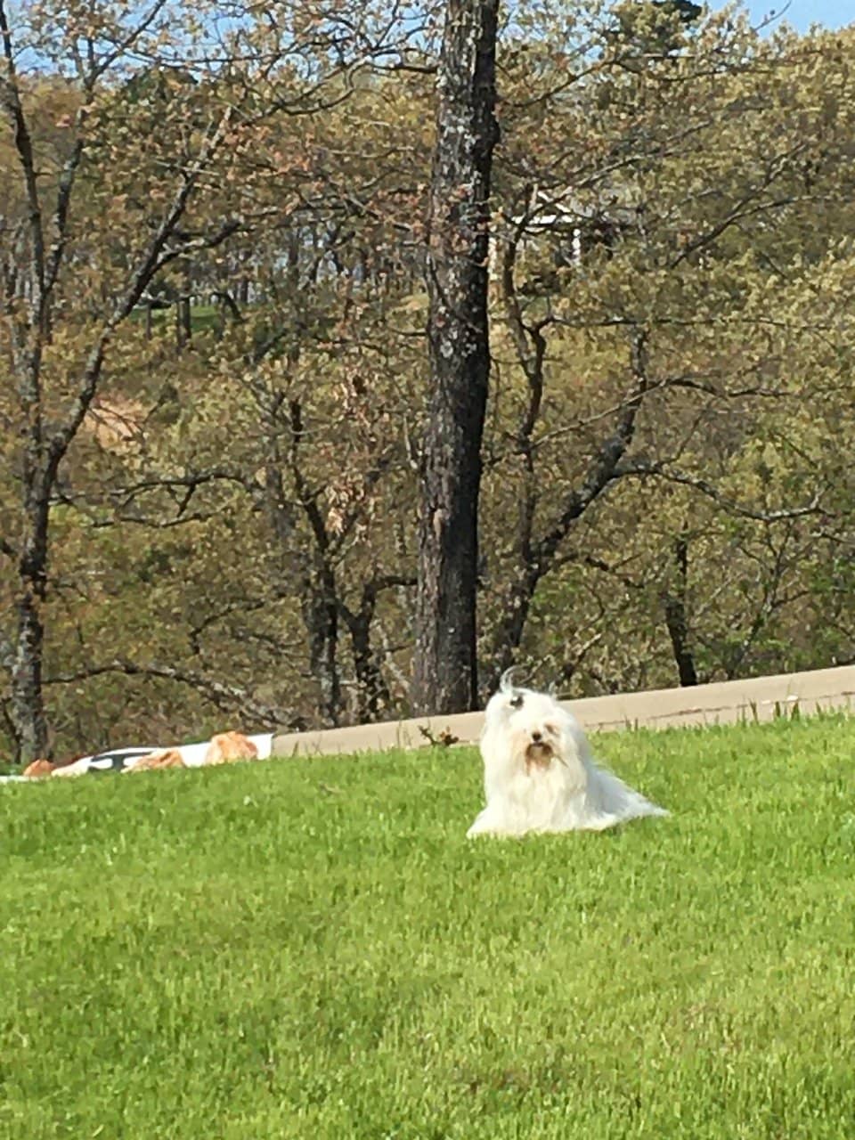 Nostalgic & Cozy Atmosphere