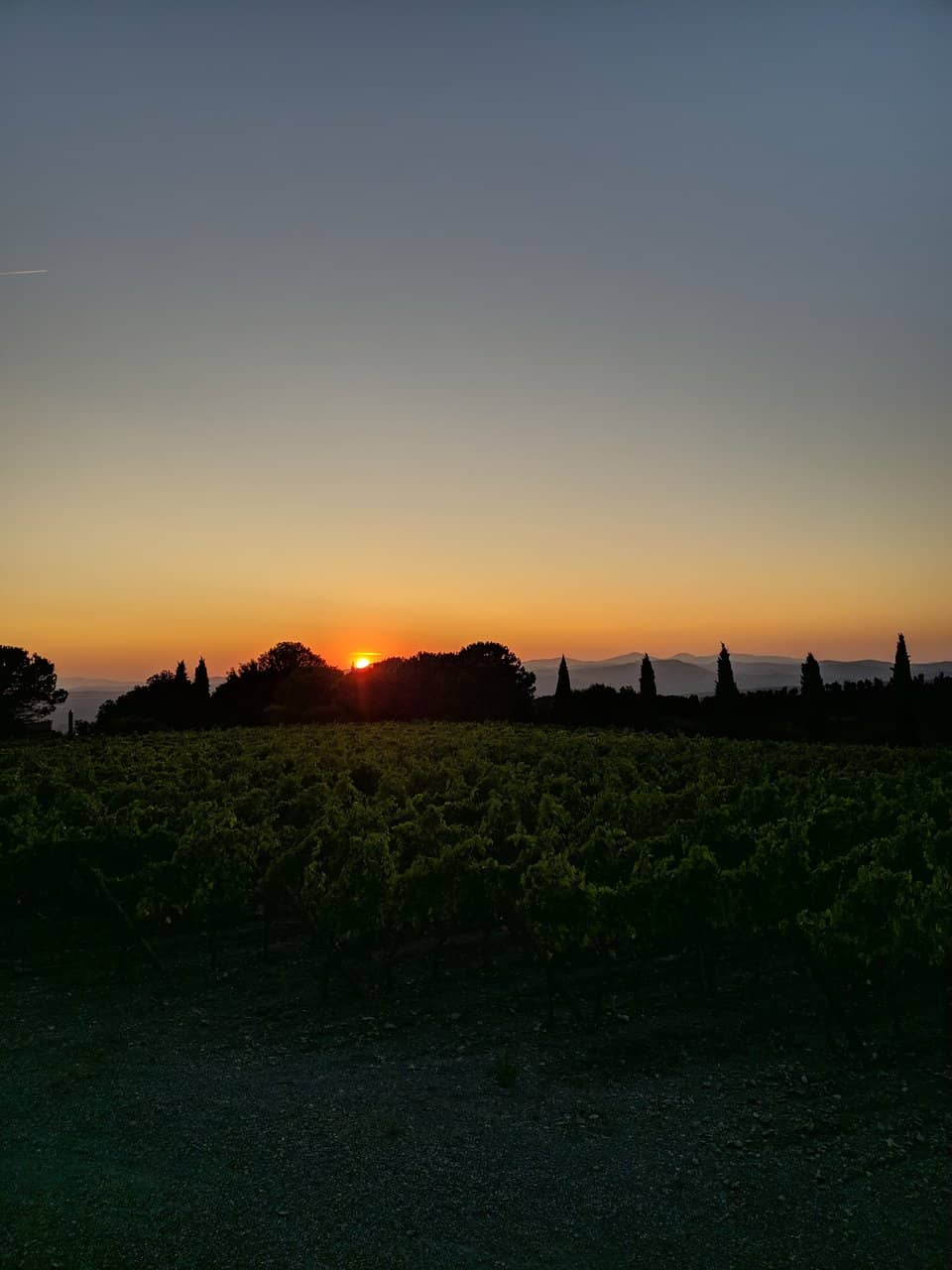 Brunello di Montalcino Tasting