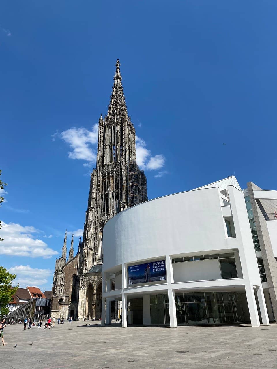 Archaeological Display