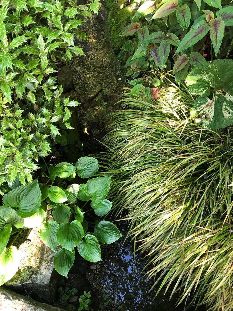 Historic Stone Spring Box