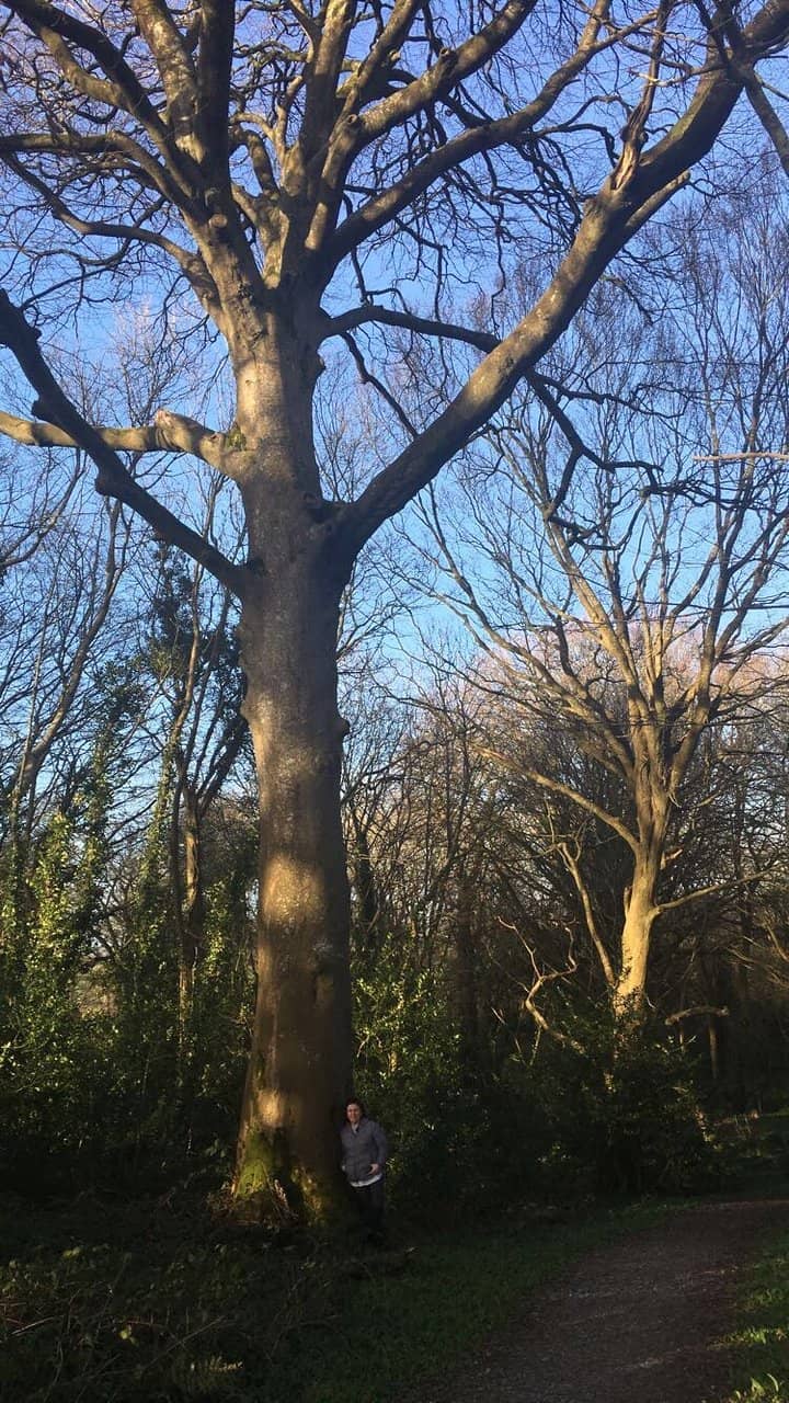 Birdsong and Streams