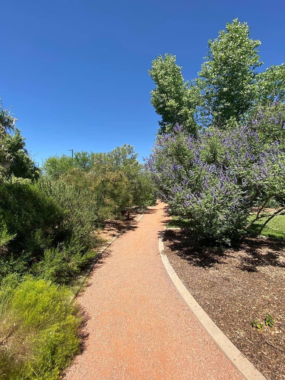 Shaded Nature Trails