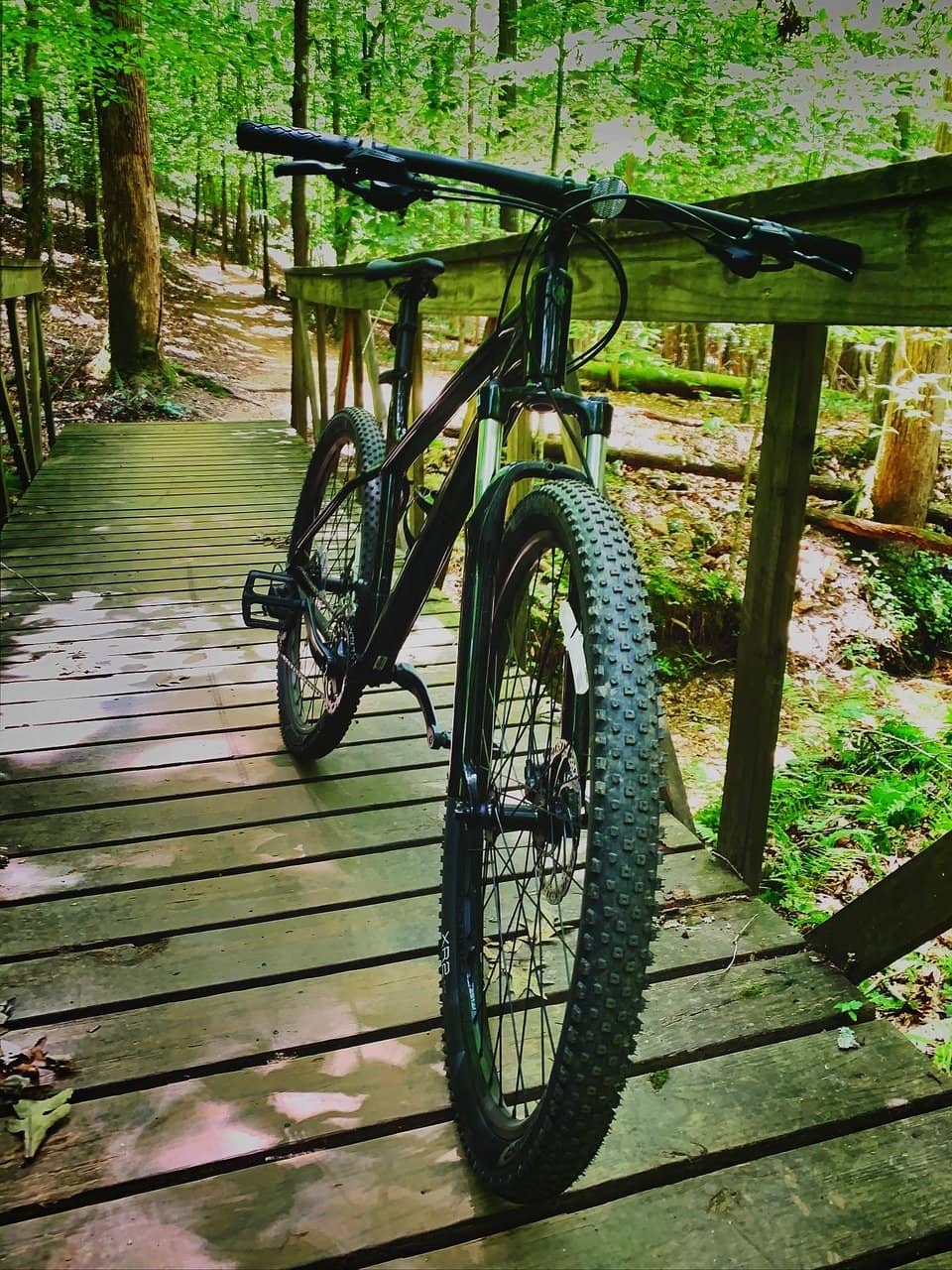 Flowy Descent Trails