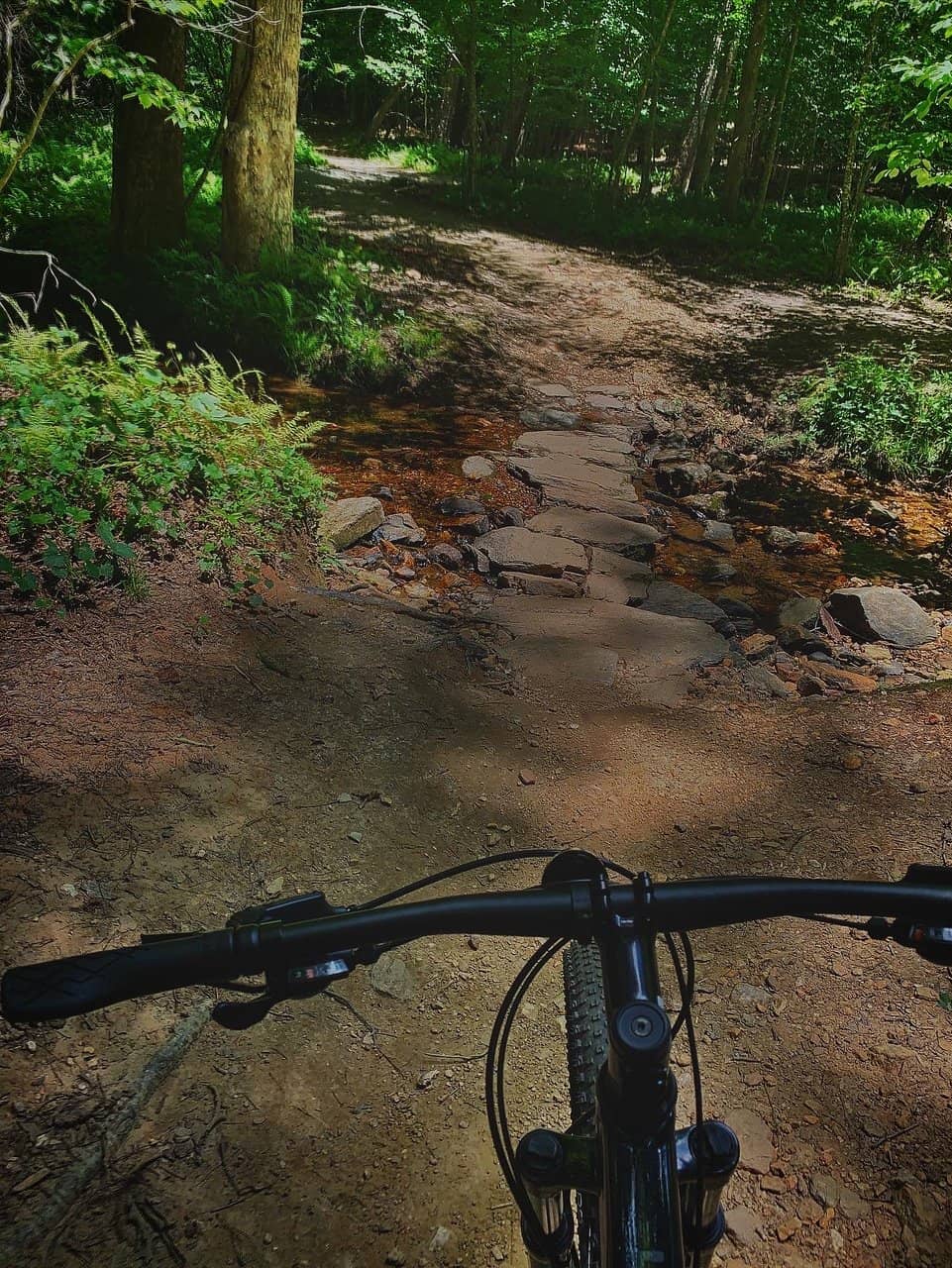 Scenic Lookout Point