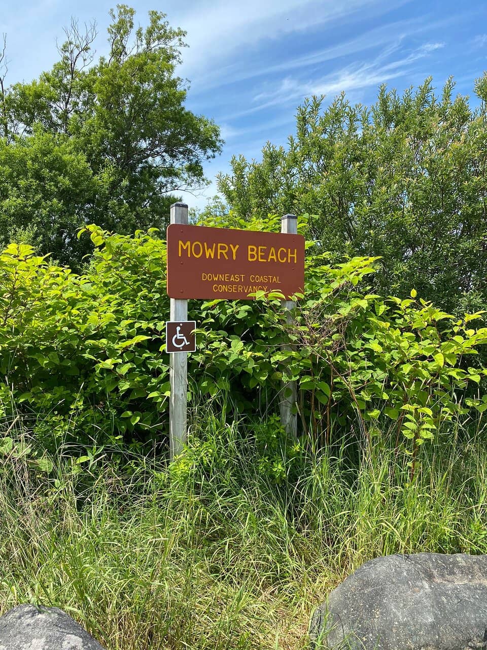 Boardwalk Trail