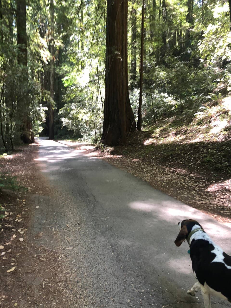 Pioneer Nature Trail