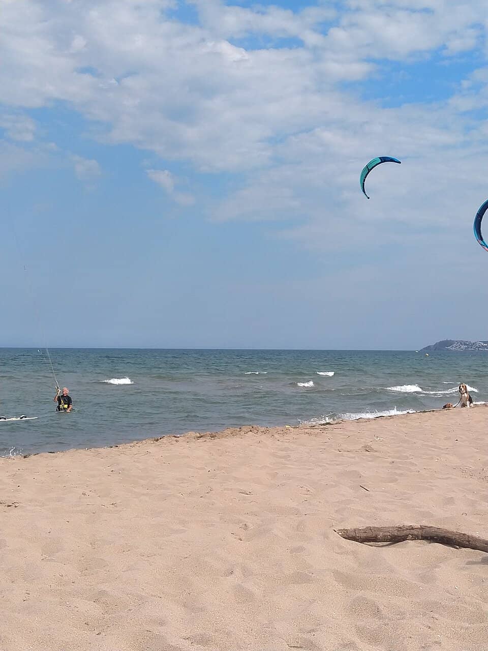 Sandy Shores & Clear Waters