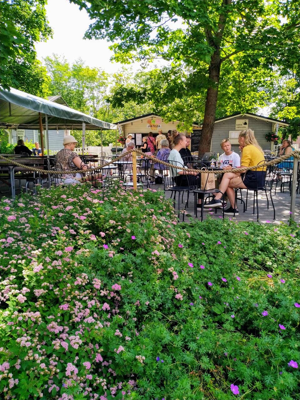 Adorable Farm Animals