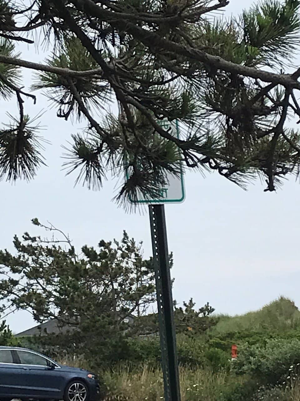 Pristine White Sands