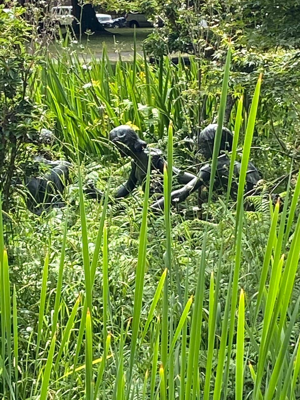 Playgrounds & Sprayground