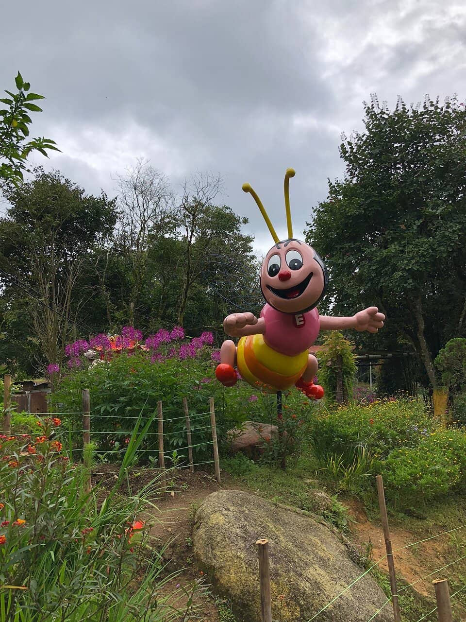 Vibrant Flower Gardens