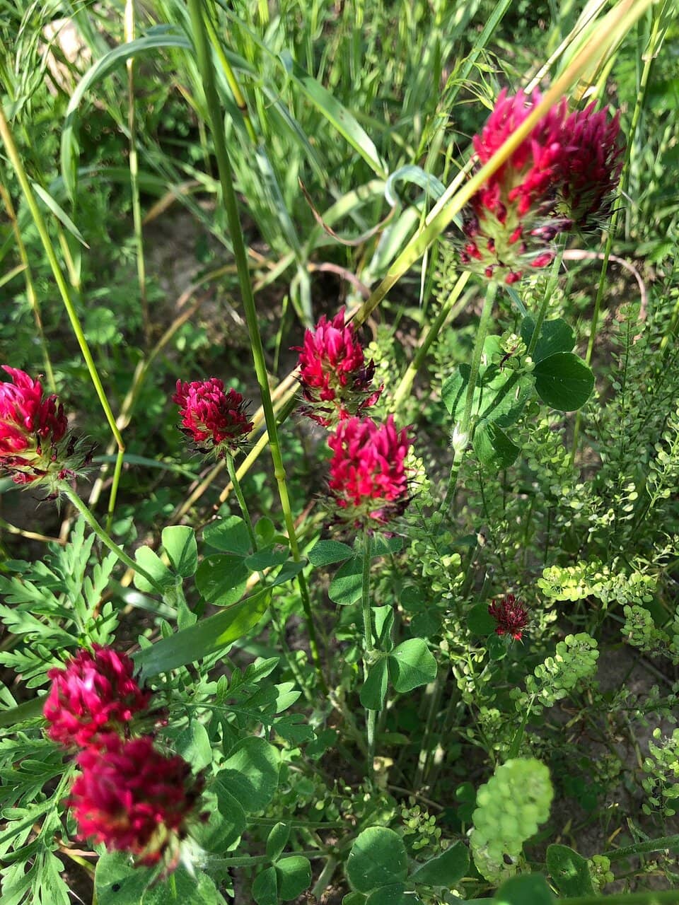 Life on a Leaf Exhibit