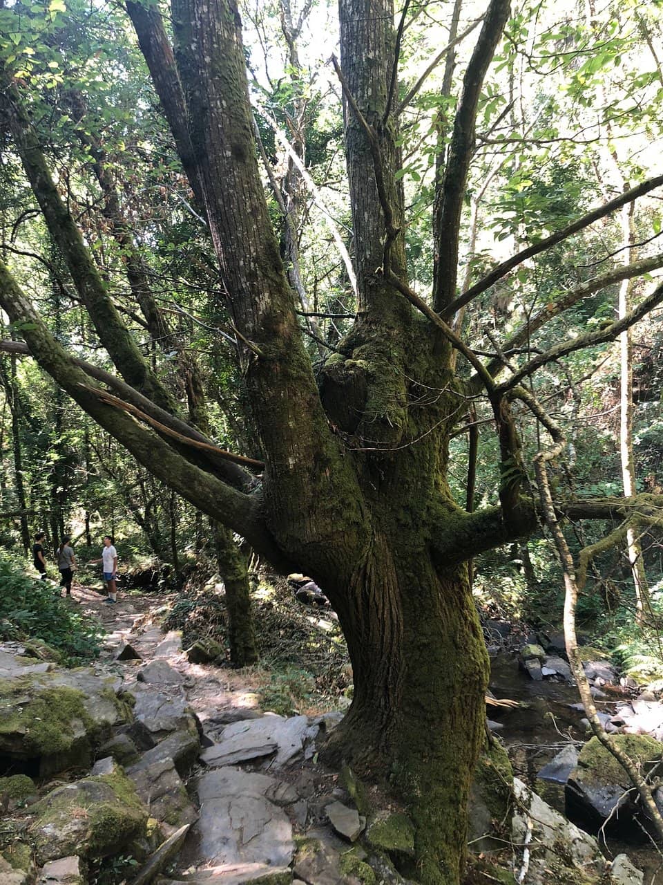 Cascada Manto de la Novia