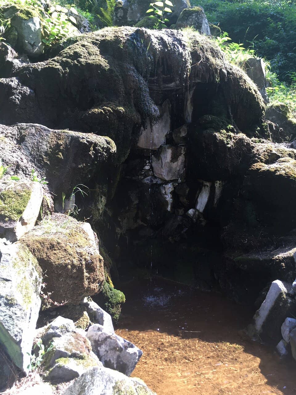 Vertical photo