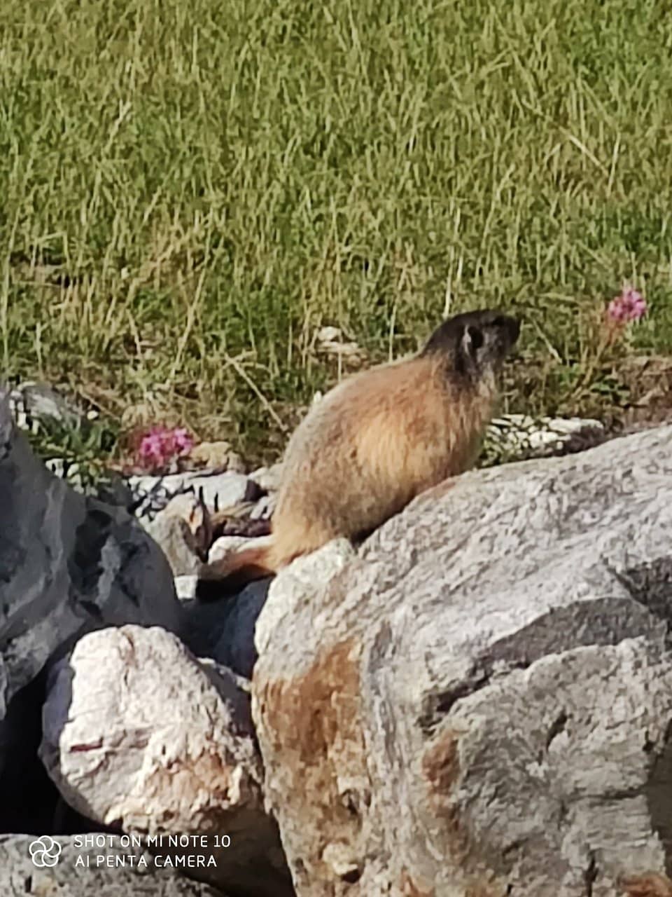 Trekking Trail Access