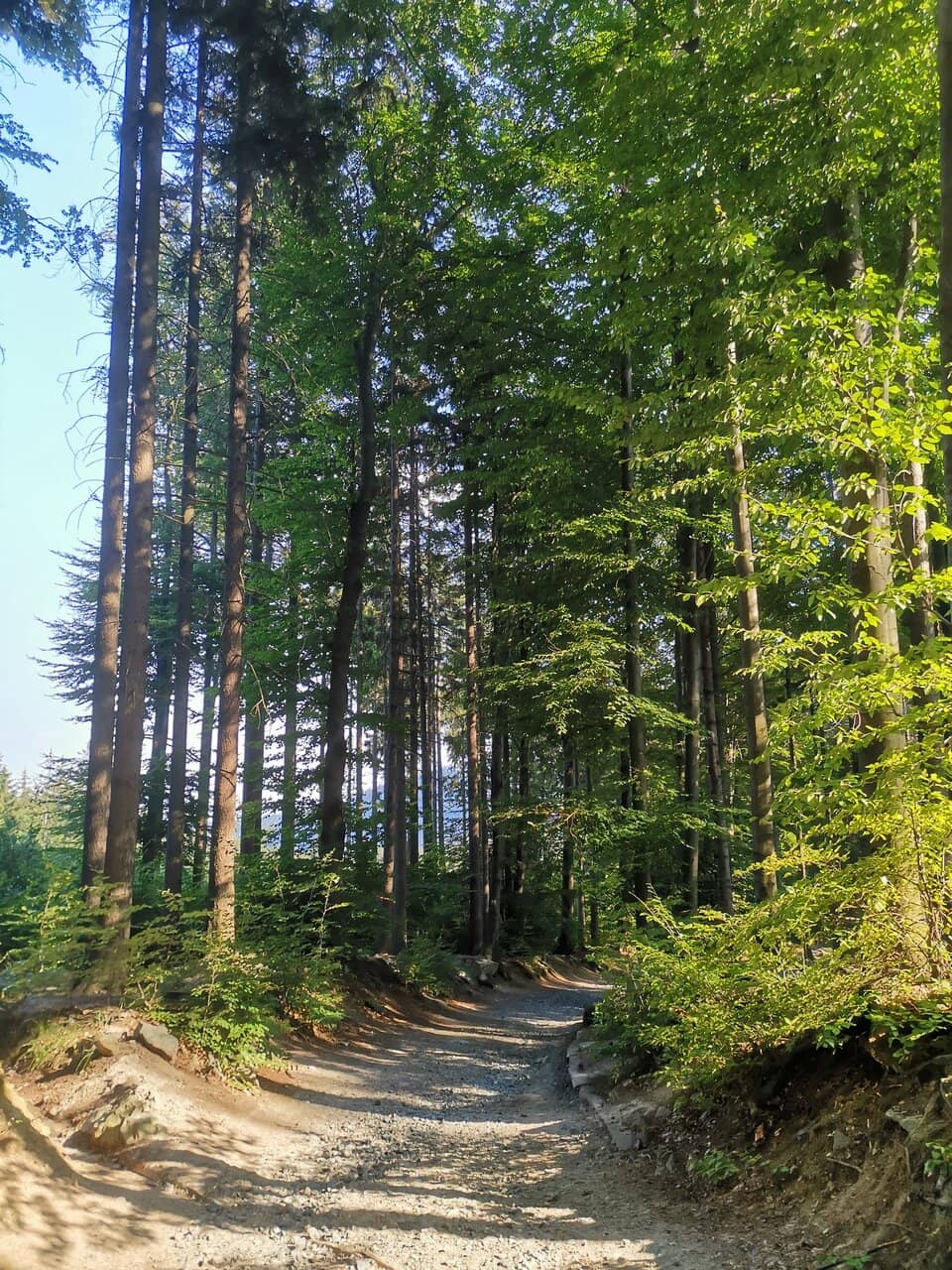 Stobrawa River Valley