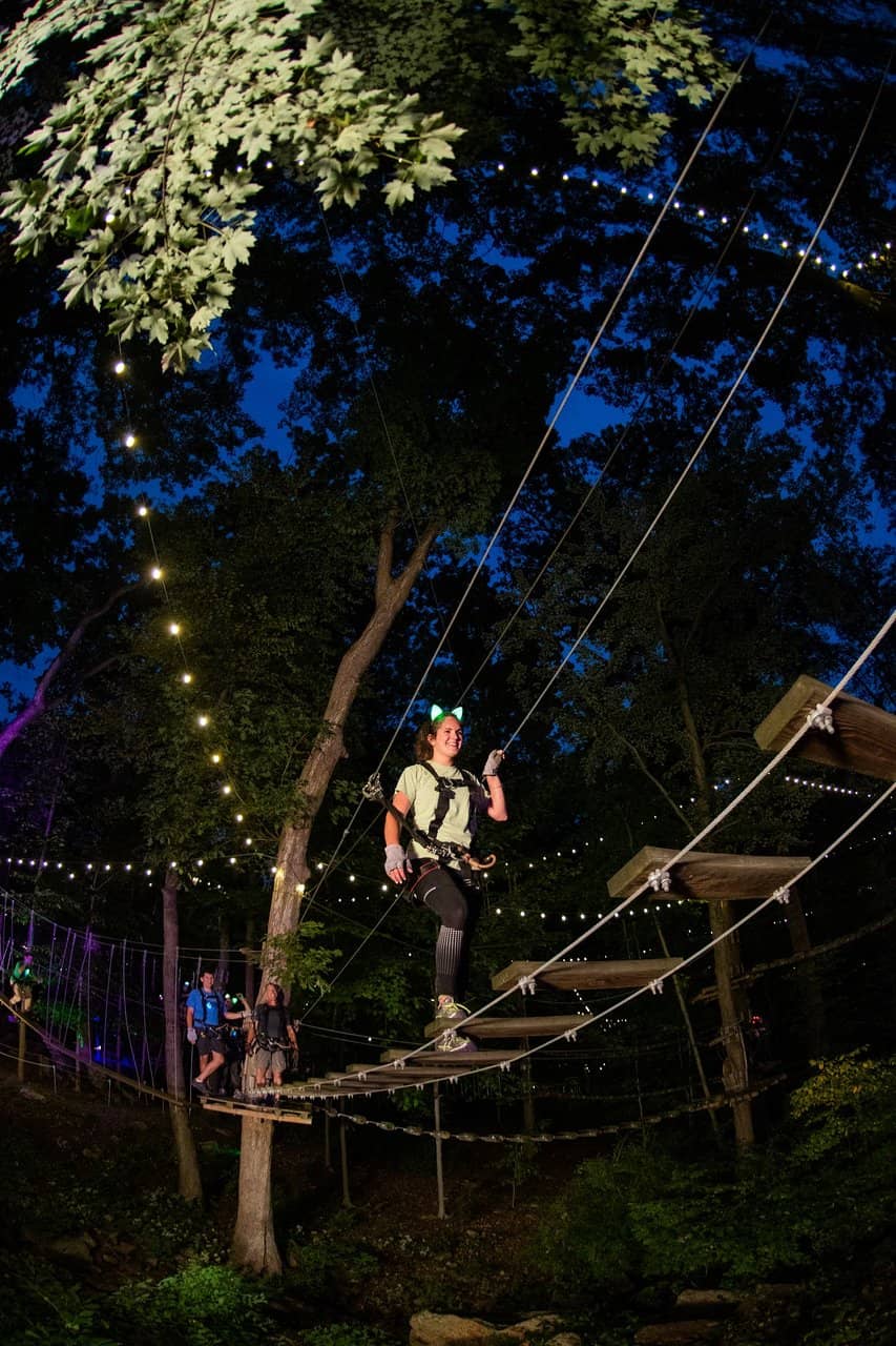 Thrilling Zip Lines