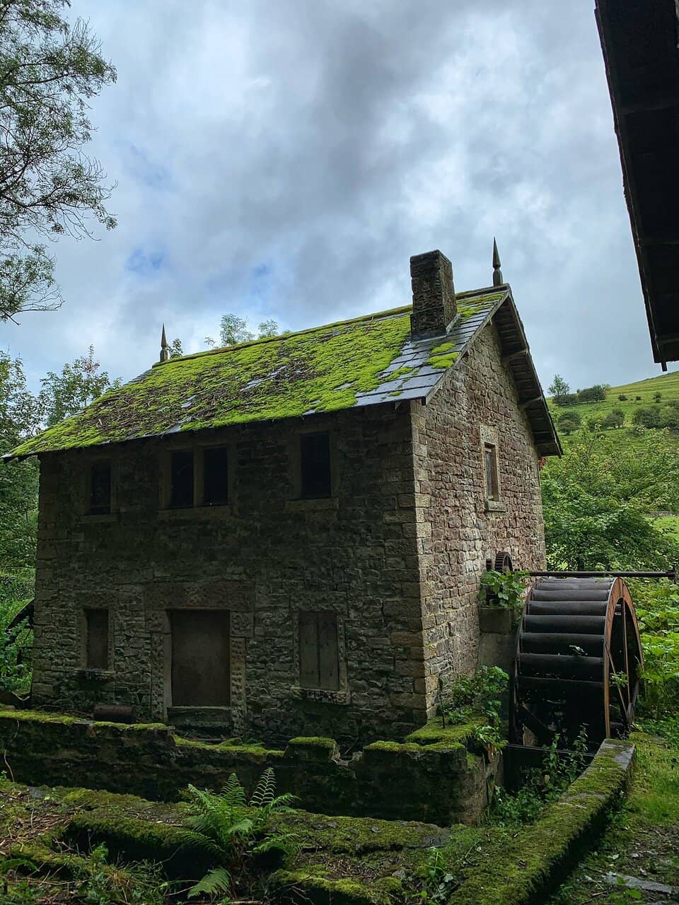 Vertical photo