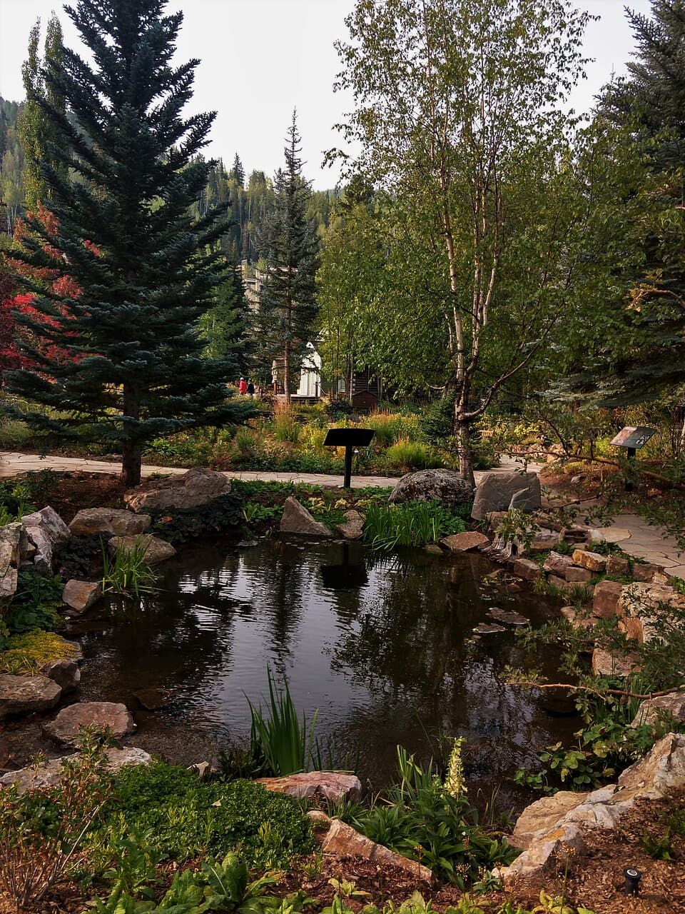 Pond