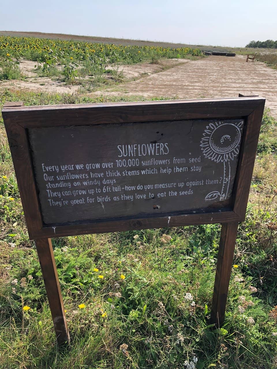 The Barn & Farm Shop