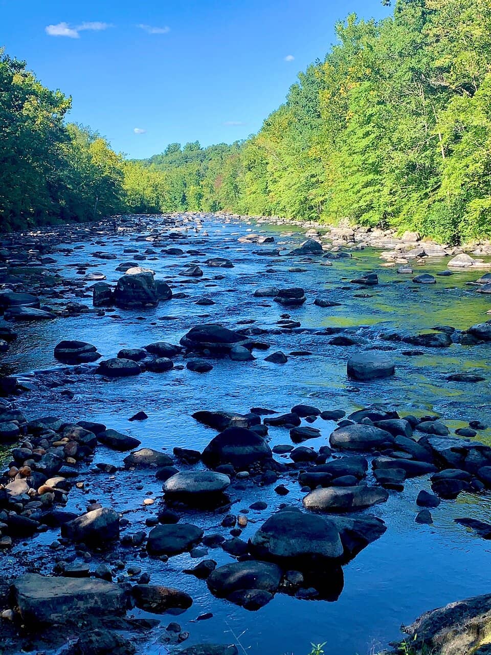 Scenic River Views