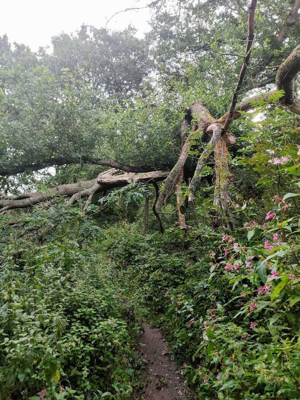 Nature and Wildlife Spotting