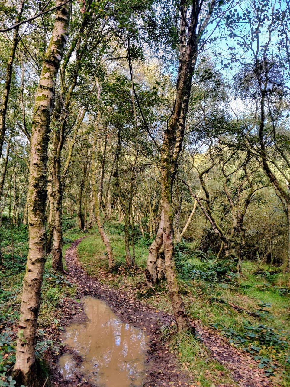 Old S.S. Castle Fan House