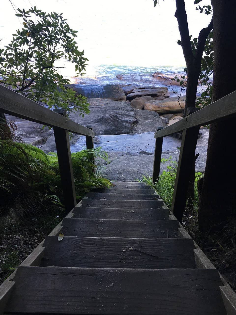 Spit Bridge to Manly Walk