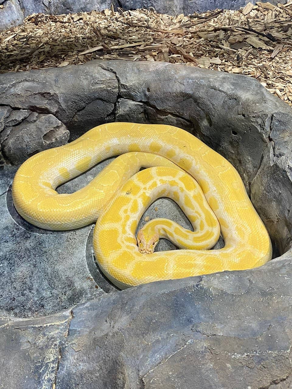 Interactive Excursions