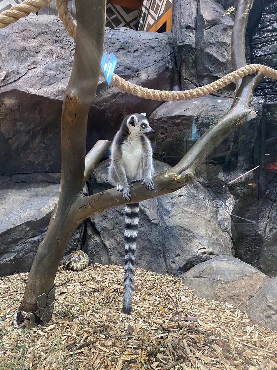 Tula Exotarium