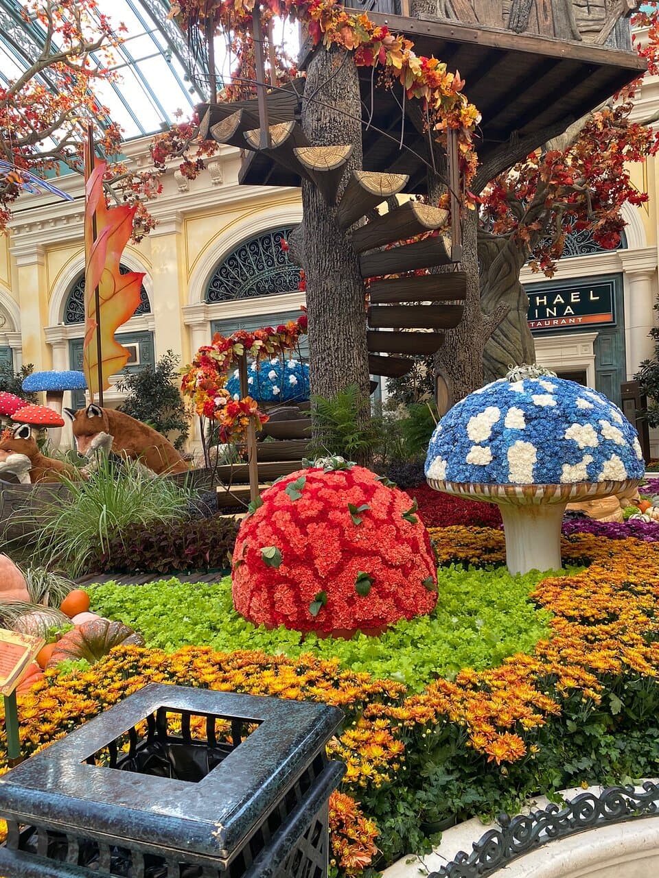 Cuenca Botanical Garden