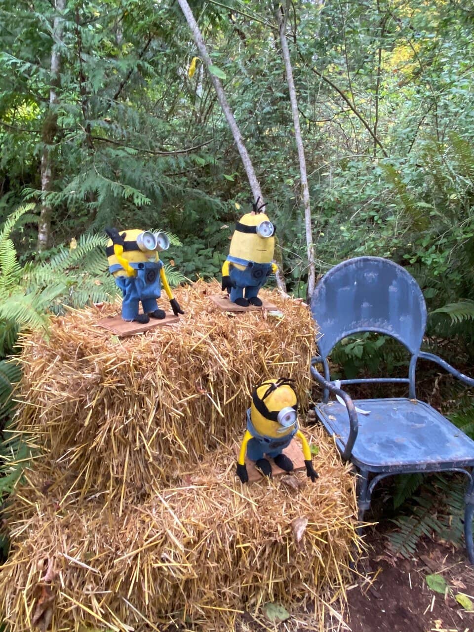 Vast Plant Selection