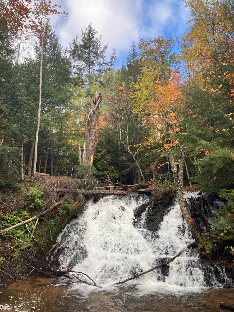 Morgan Falls