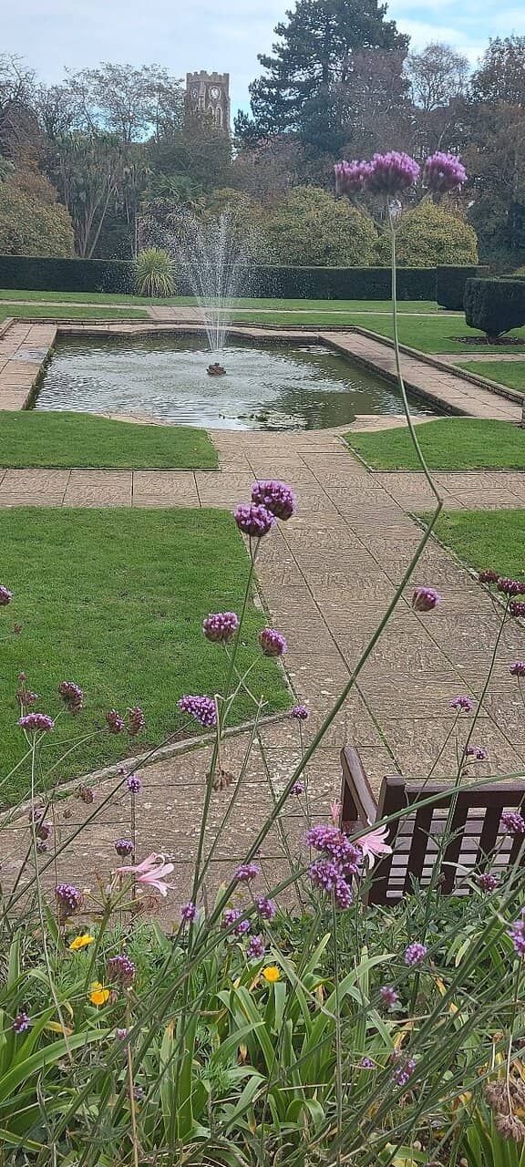 Tranquil Pond and Wildlife