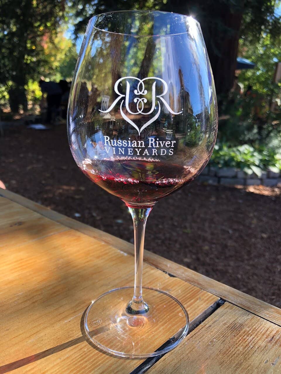 Wine Tasting in the Valley