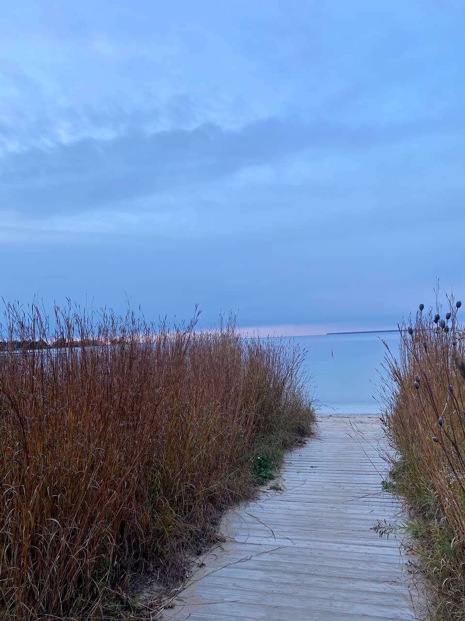 Playground & Gardens
