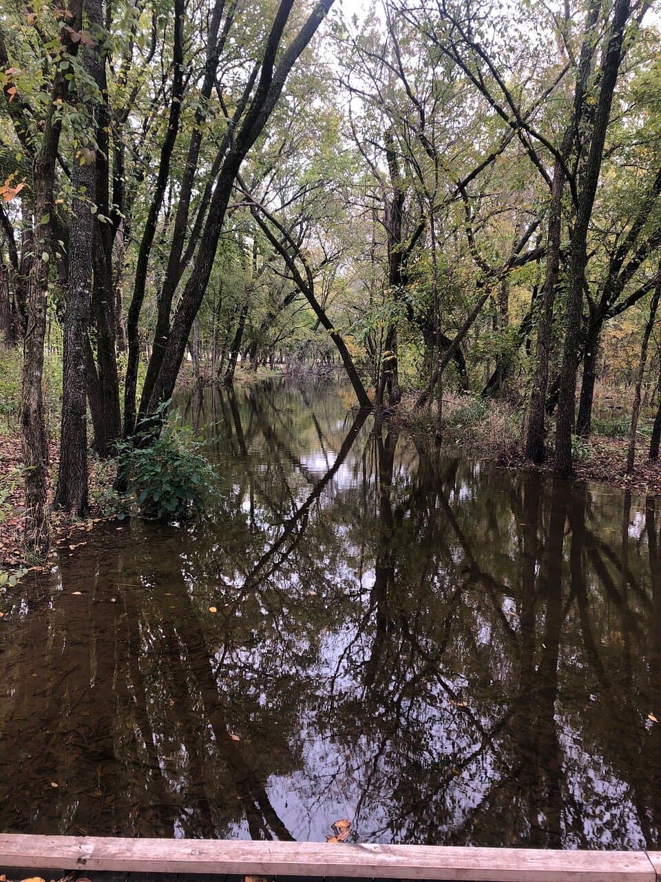 Bonnie Wenk Park