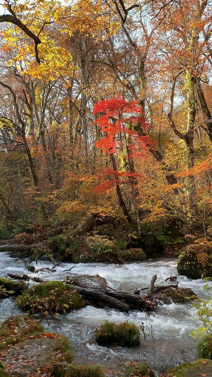 Choshi-otaki Waterfall