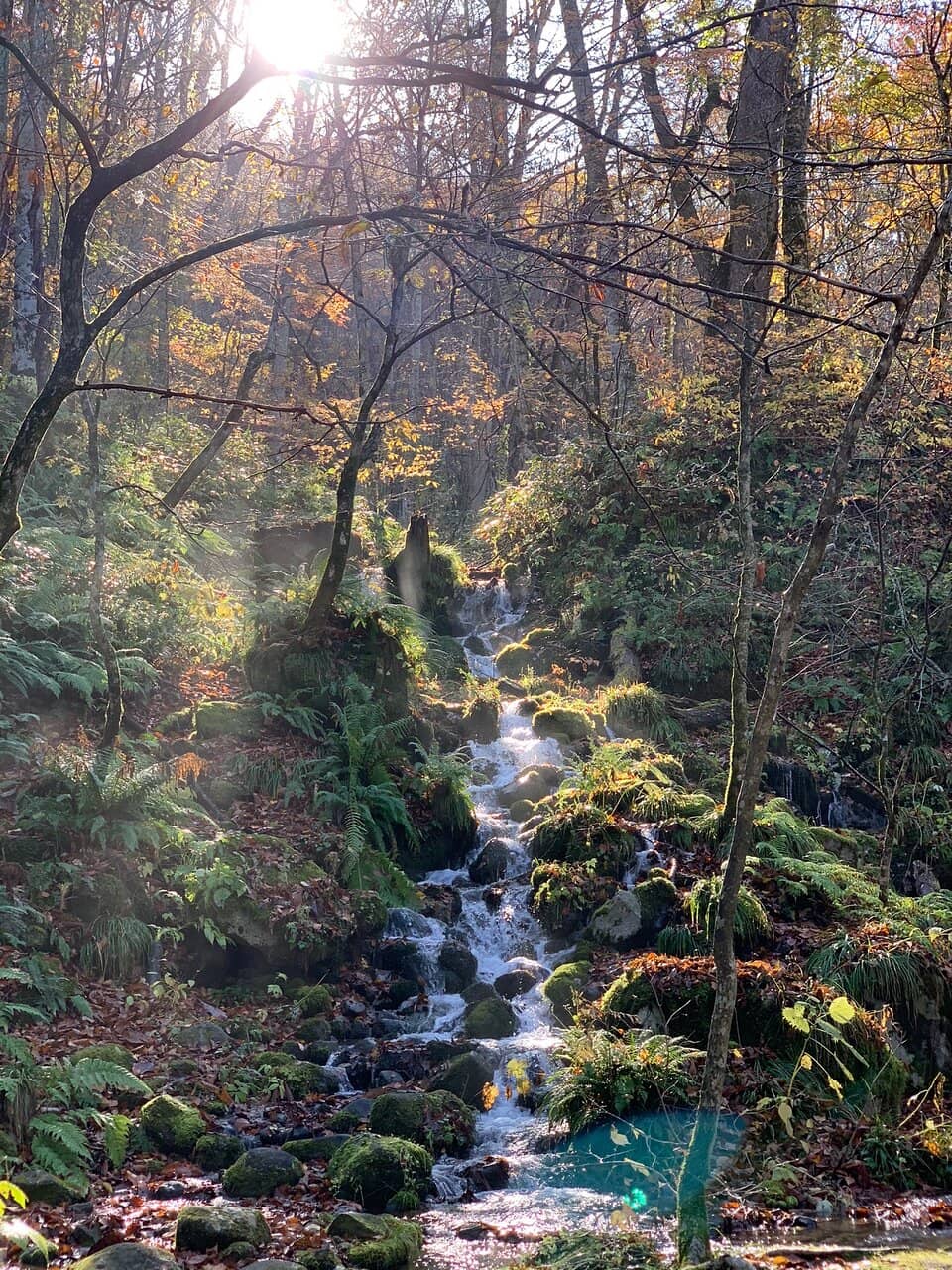 Ishigedo-no-taki Waterfall