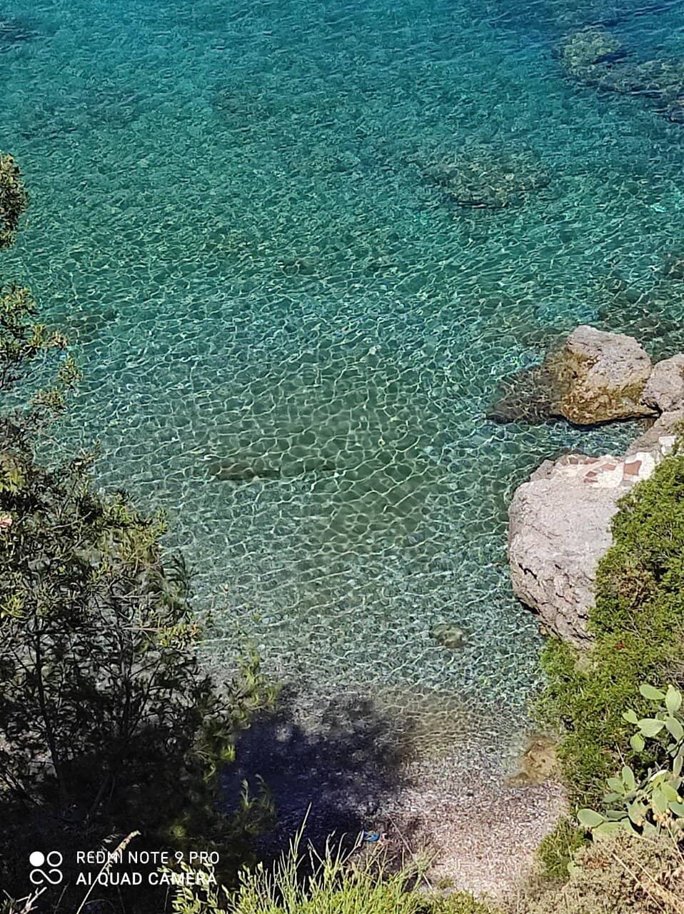 Natural Shade Oasis