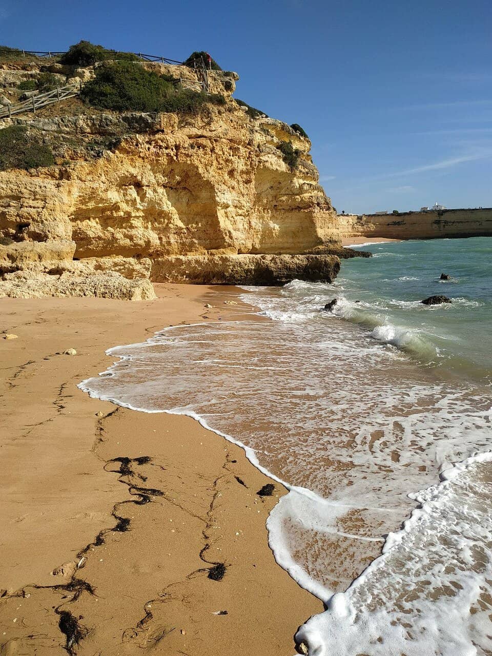 Exploring Caves at Low Tide