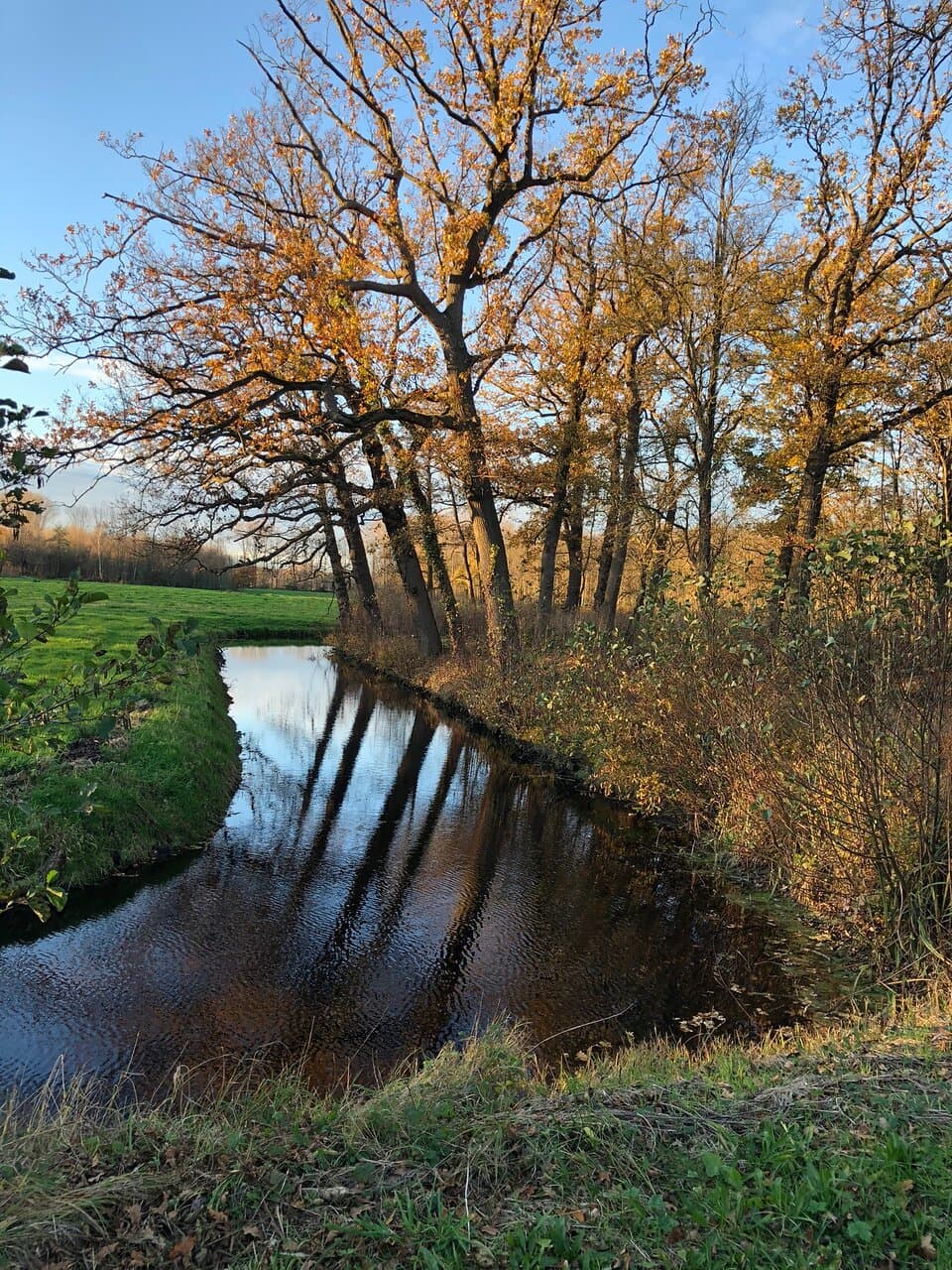 Royal Estate De Horsten