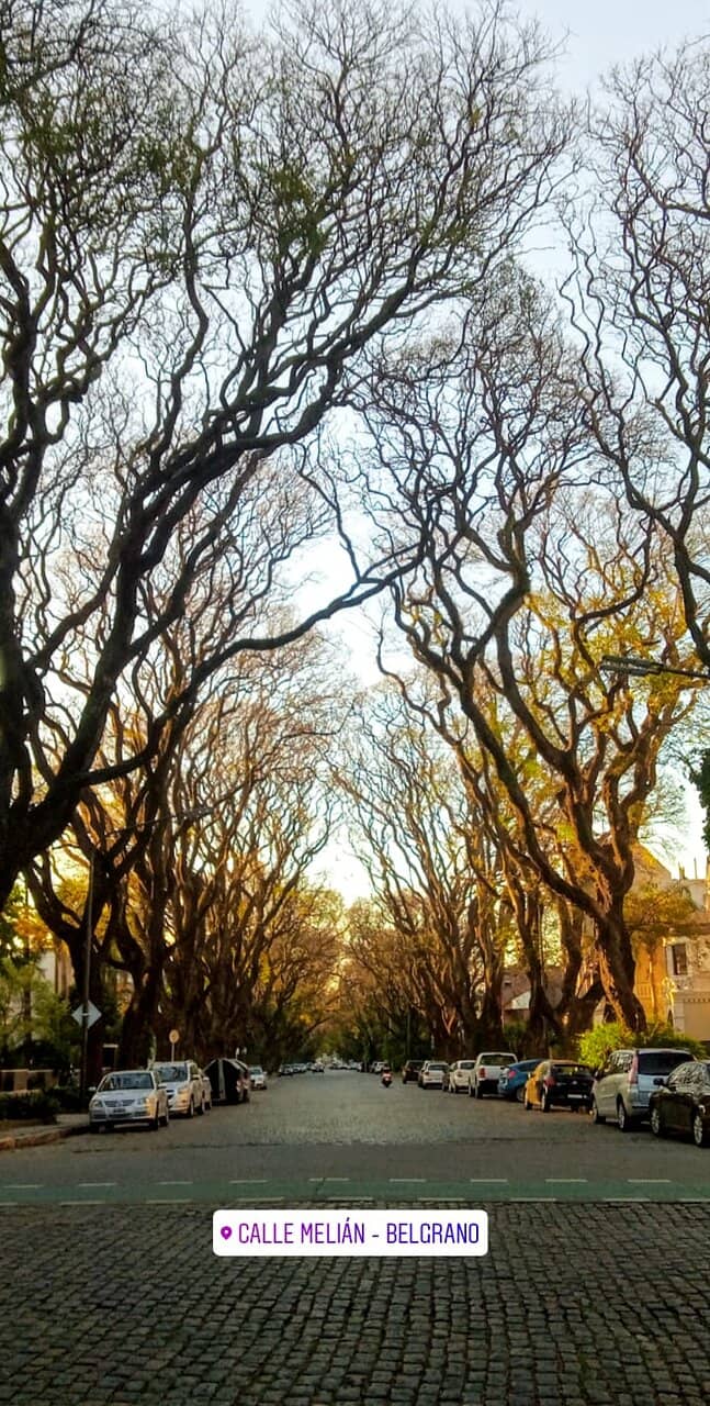 Avenida Melian's Enchantment