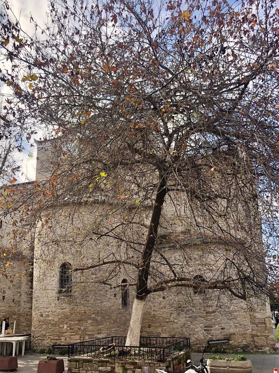 Vertical photo