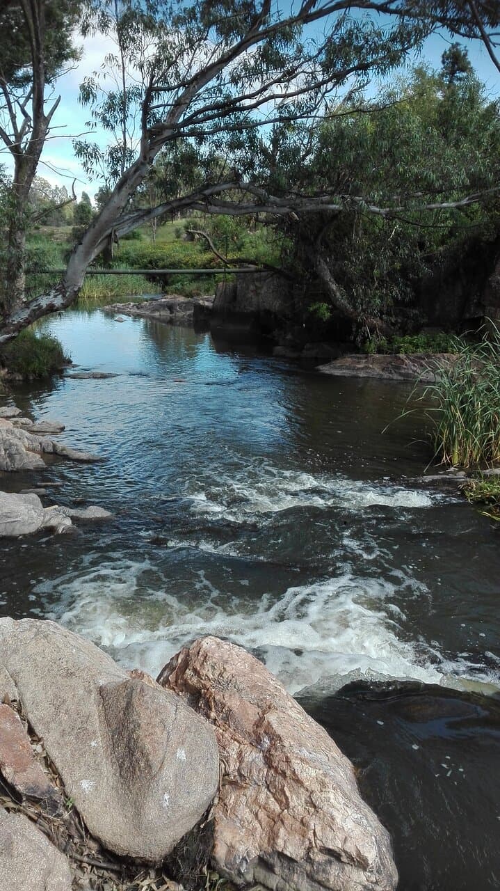 Modderfontein Reserve Johannesburg