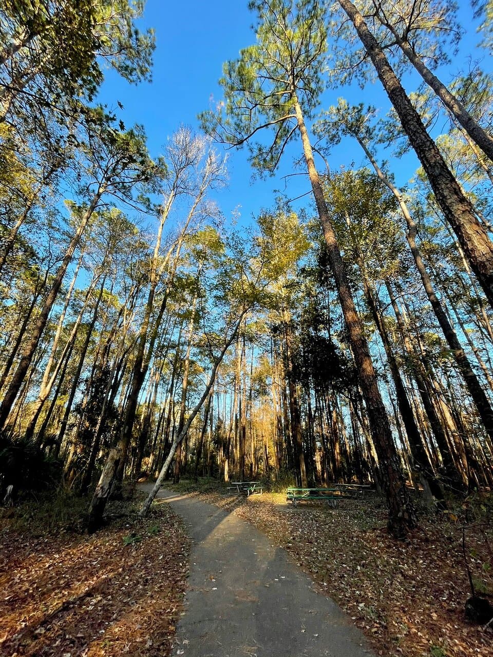 Tillie K. Fowler Regional Park